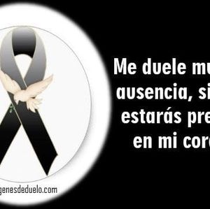 Meet your Posher, Nicolas